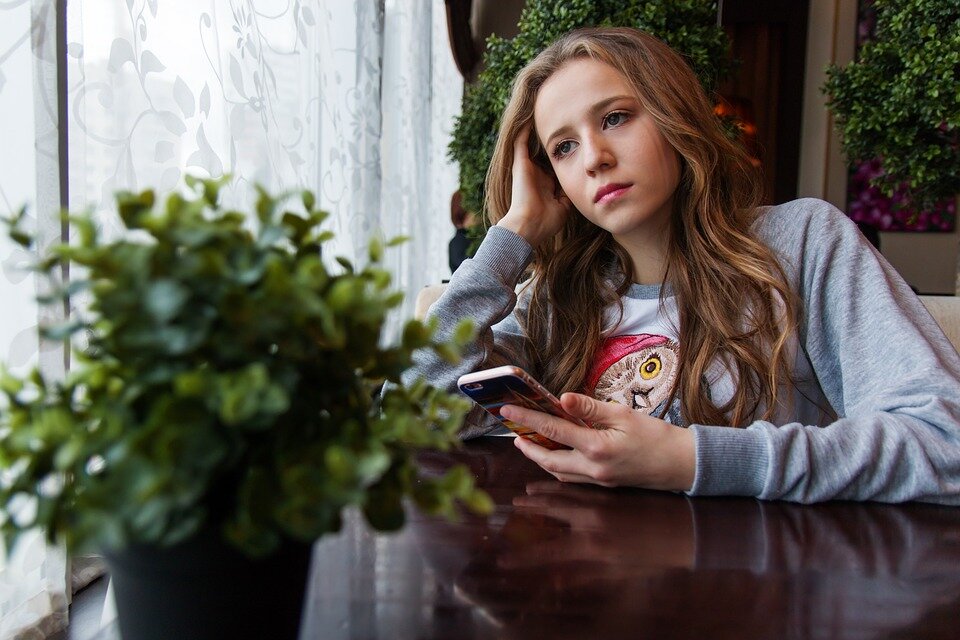 Источник изображения: pixabay.com 