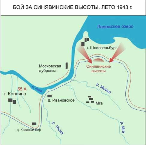 Синявинские высоты карта