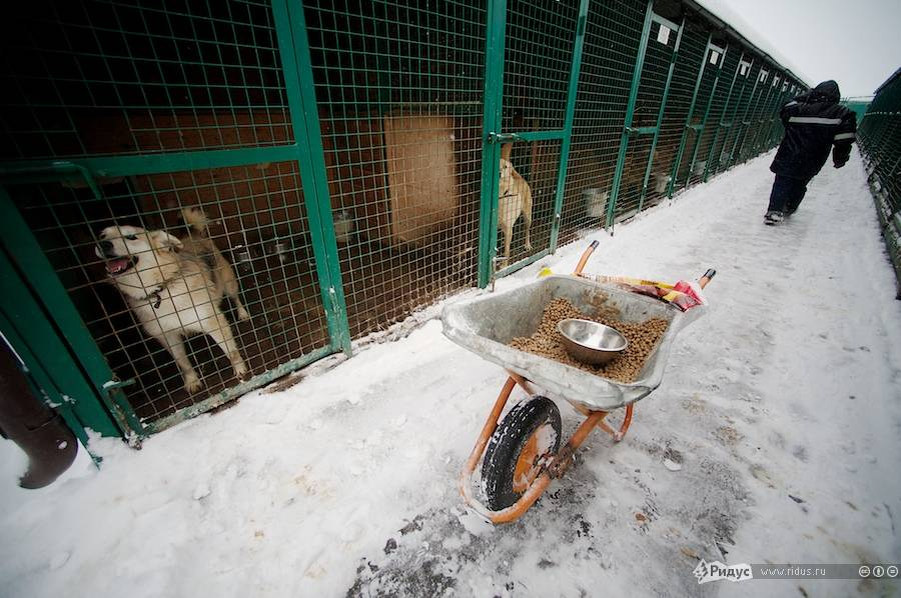 Одиночные вольеры зимой.