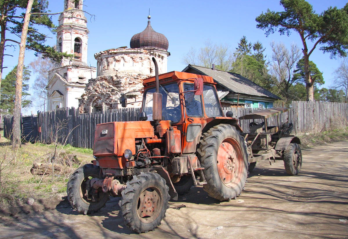 Фото трактор т55