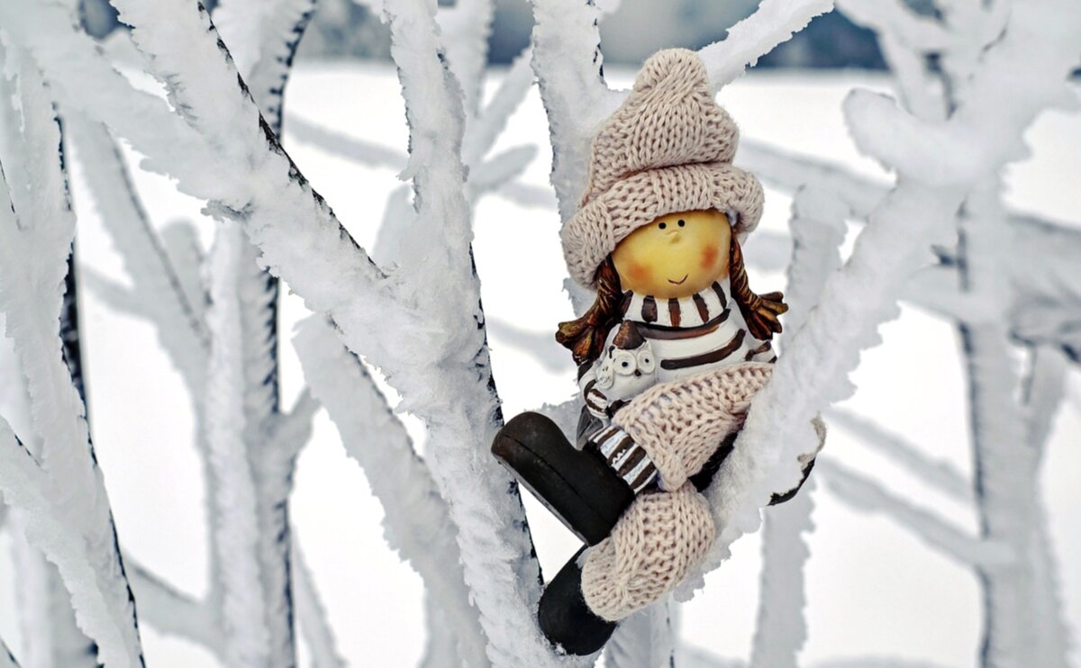 Фото с pixabay