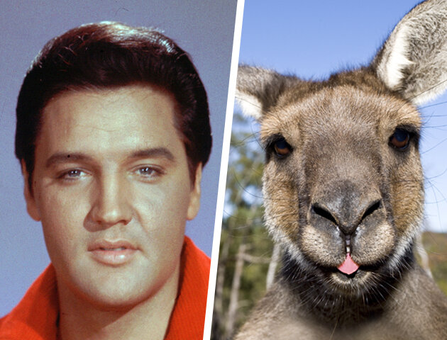 PA Photos / iStockphoto