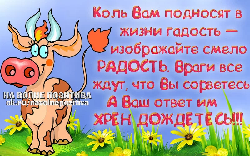 Картинки всем добра и позитива прикольные с надписями