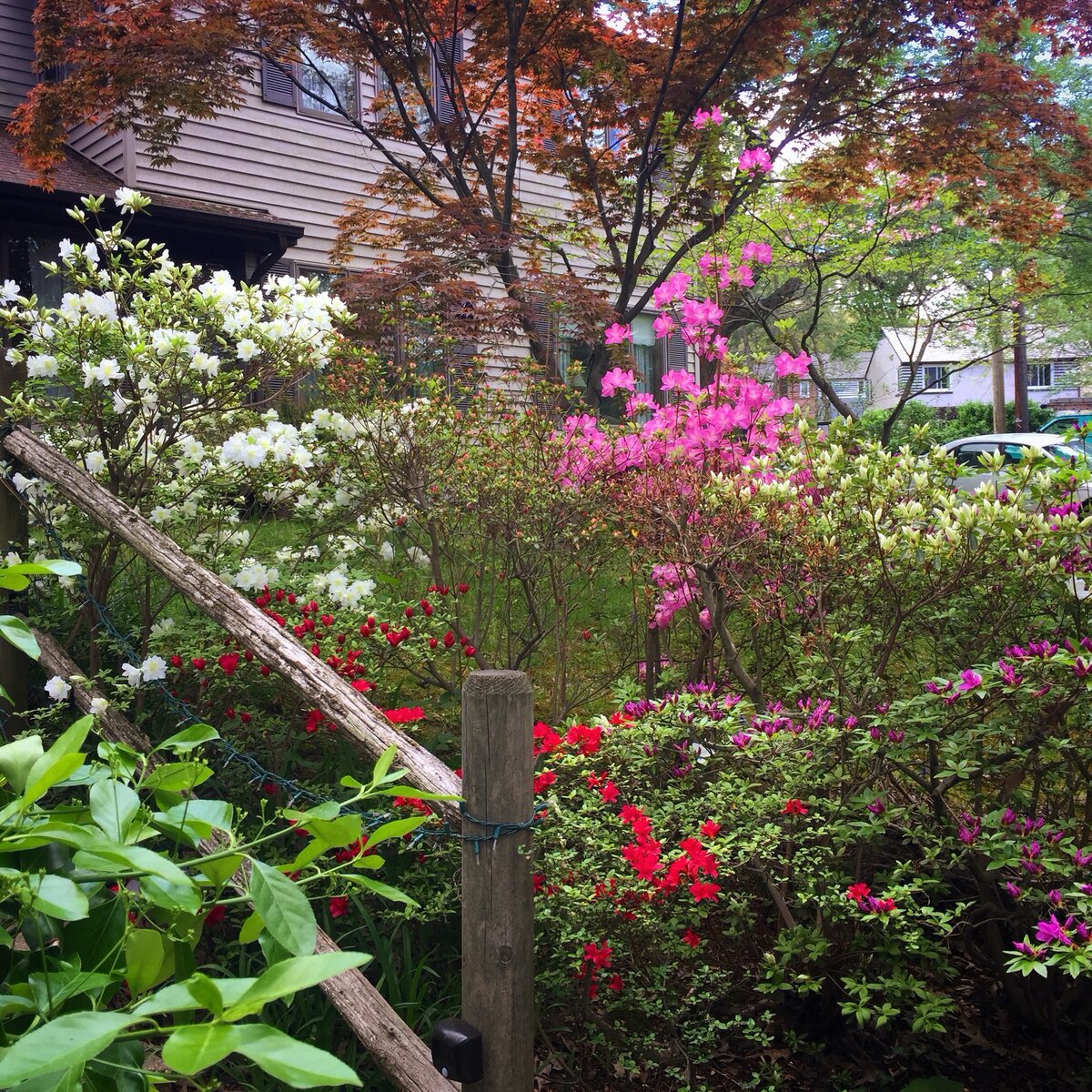 Маленький садик