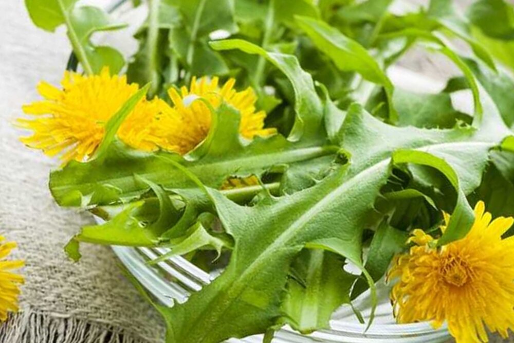 детоксикация организма травами