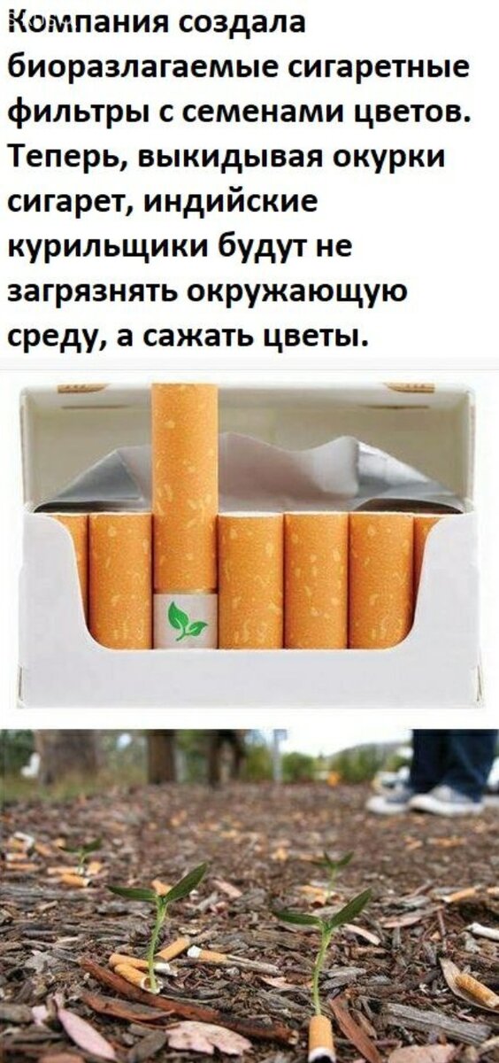 В России интересно когда нибудь будут такие сигареты?! 