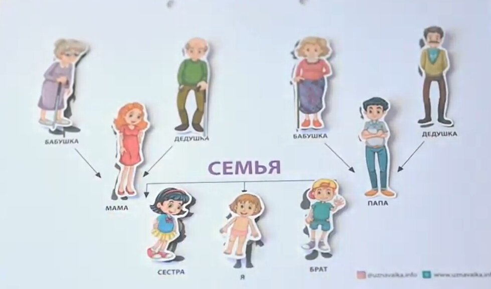 взять из открытых источников в интернете, Дерево.