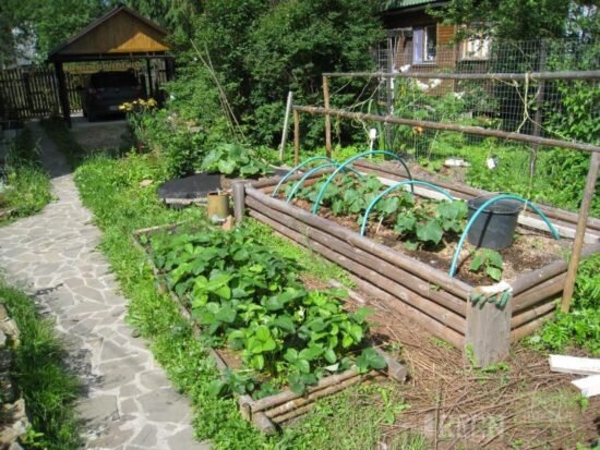 Высокие грядки своими руками - Fazenda