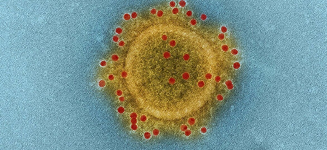 Короновирус 