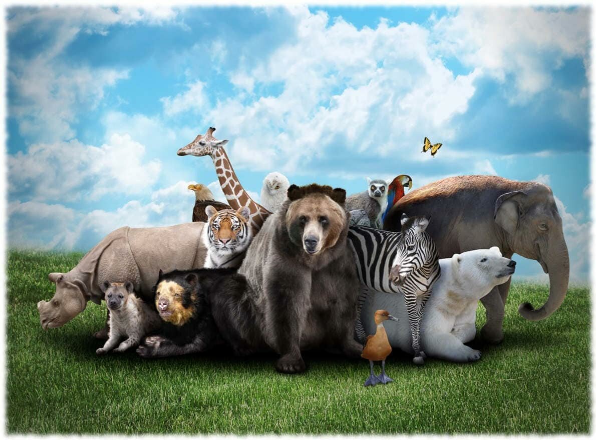 Фото из интернета