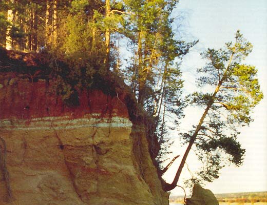 Здесь нашли последний приют парейазавры.