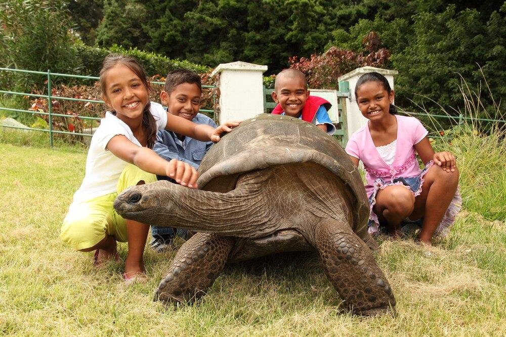 Самая большая черепаха в мире фото 529 лет