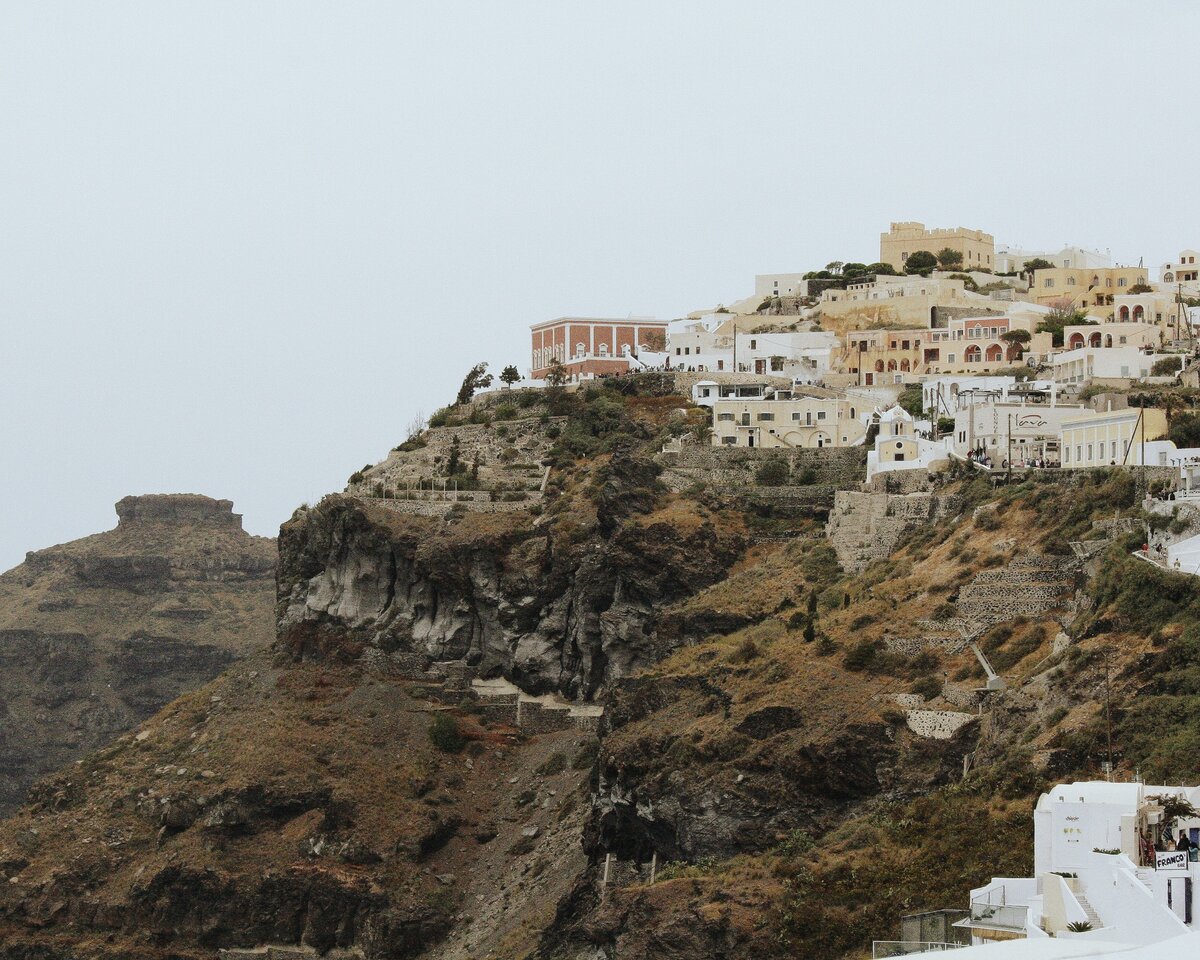 очень необычные виды