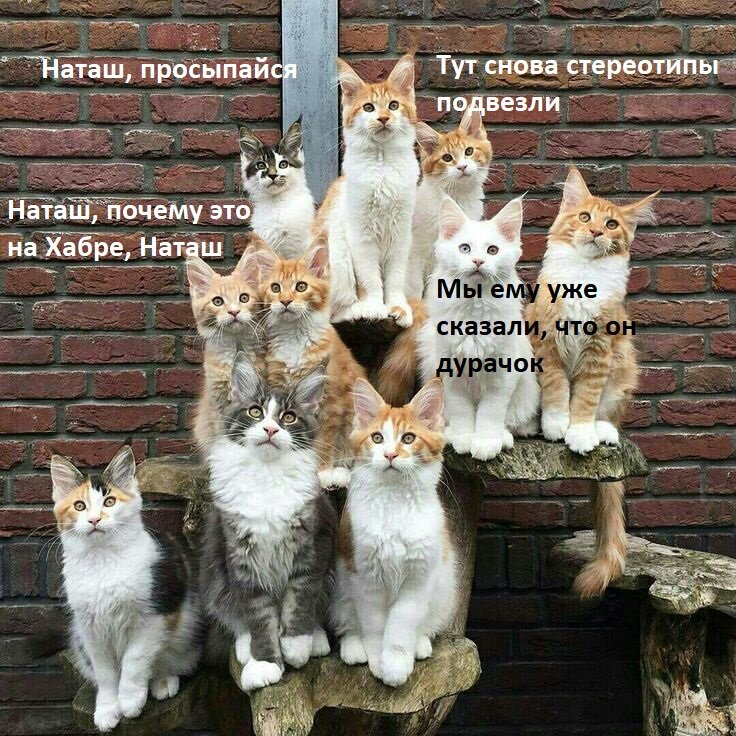 фото из инета, надписи авторские