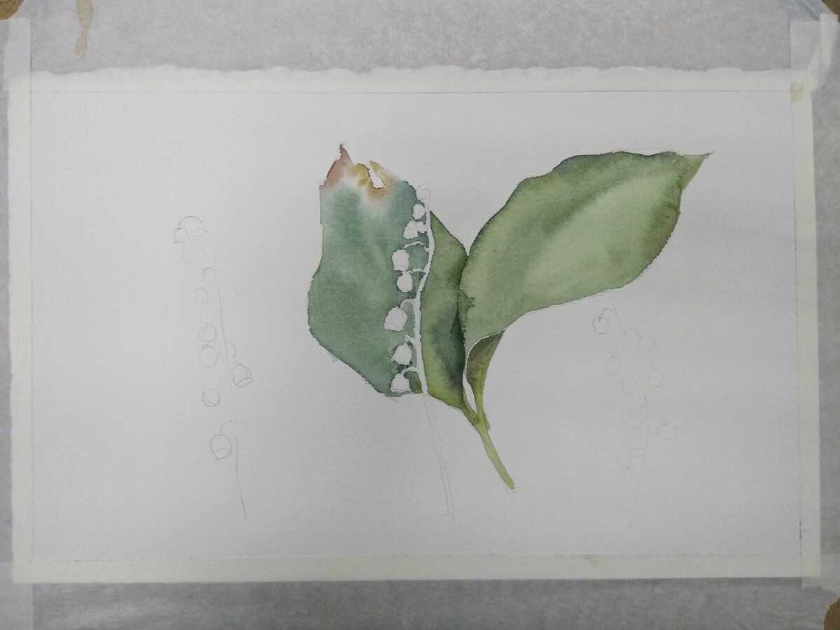 Начало работы цветом