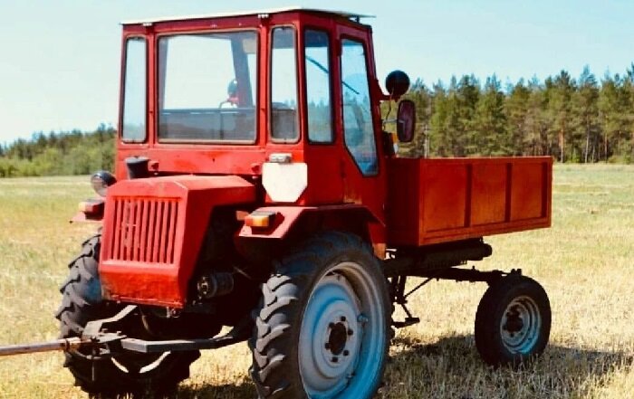 Фото Яндекс Картинки.