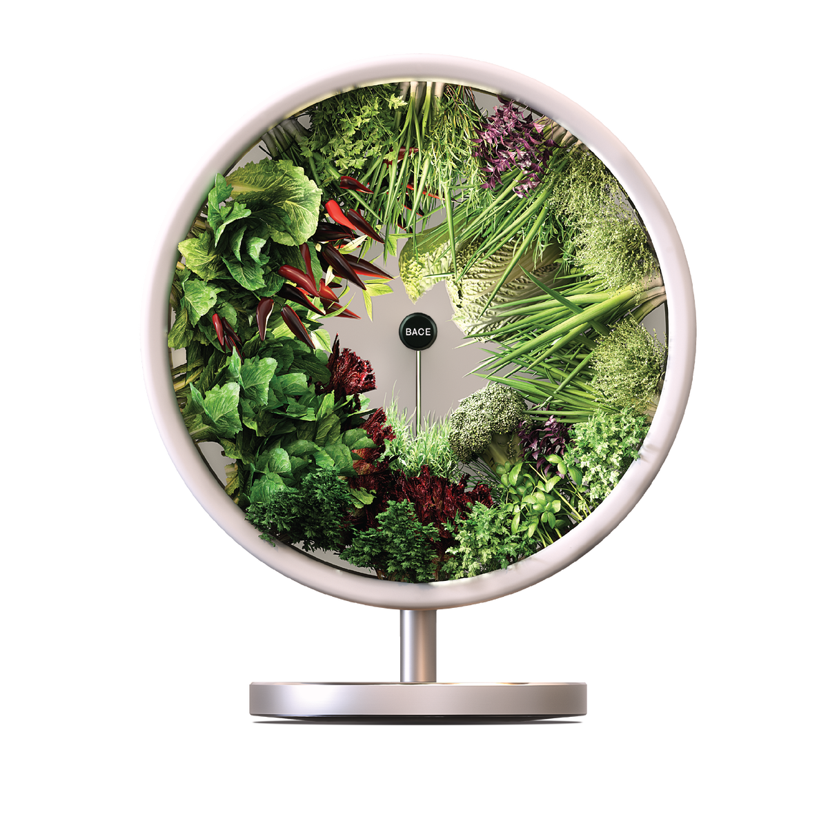 Огород Rotofarm (Источник: Yandex.ru) 