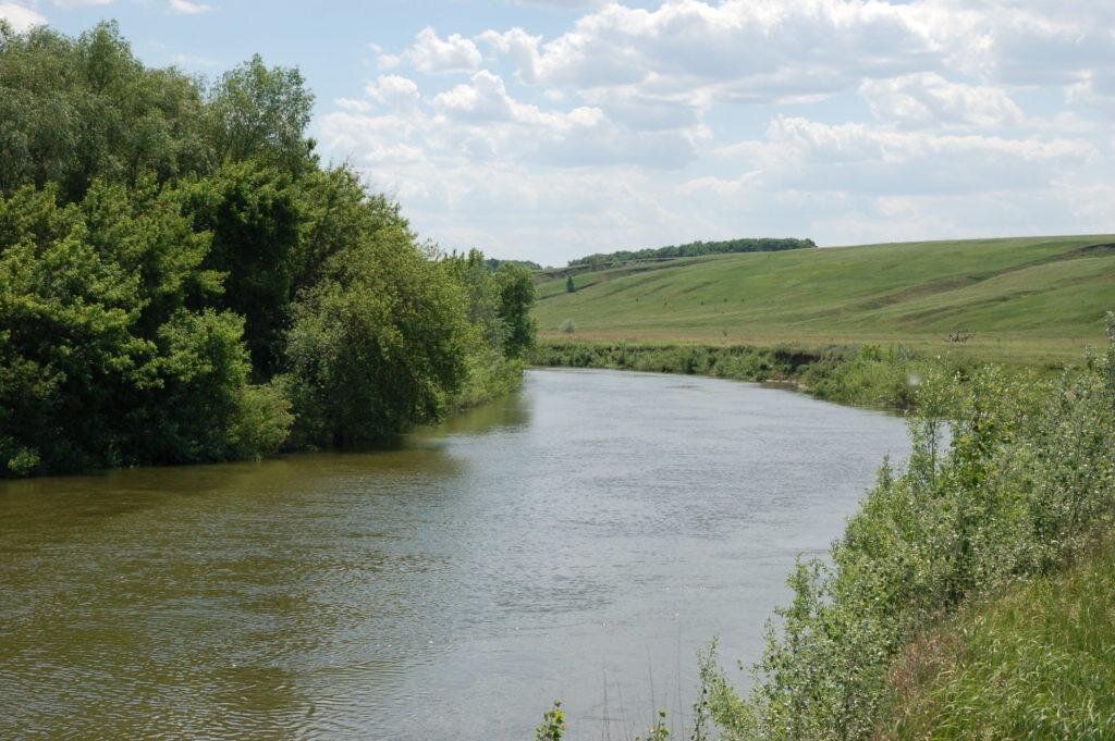 Фото: Яндекс.Картинки 