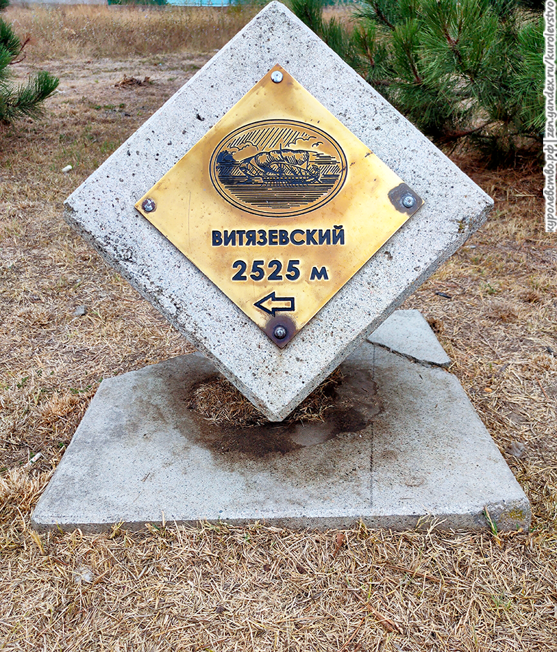 Название отрезка терренкура - Витязевский