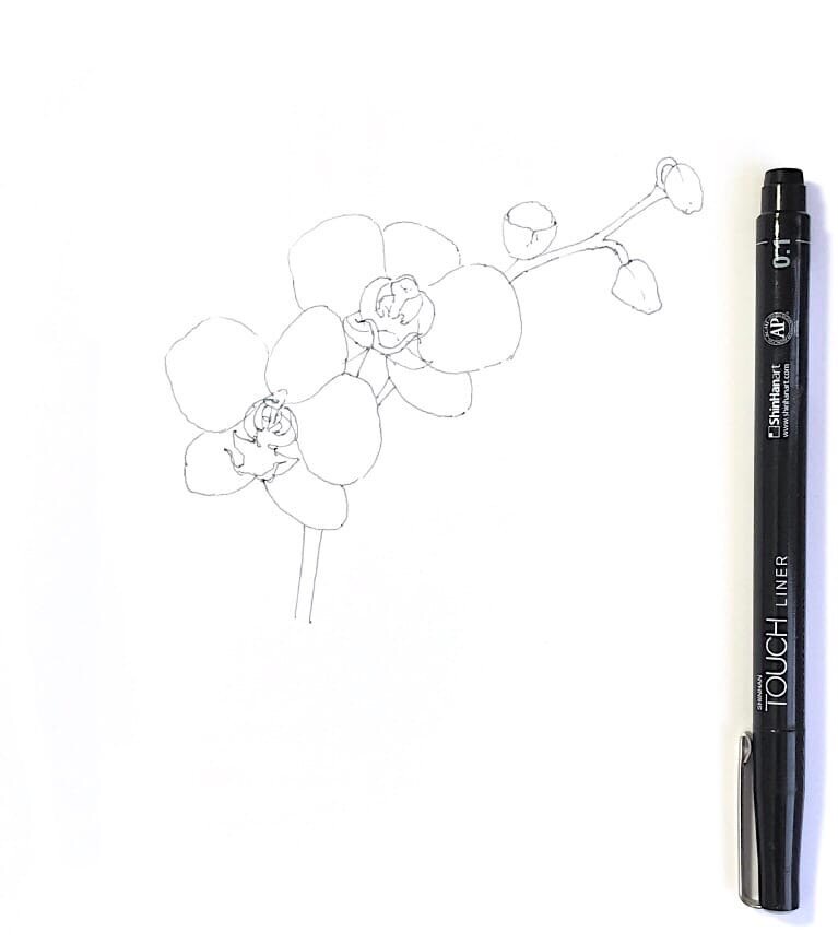 1 этап. Линейный рисунок 