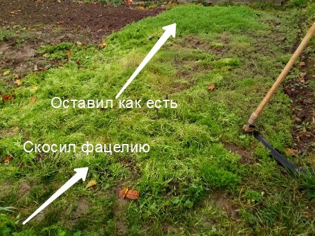 Разные судьбы