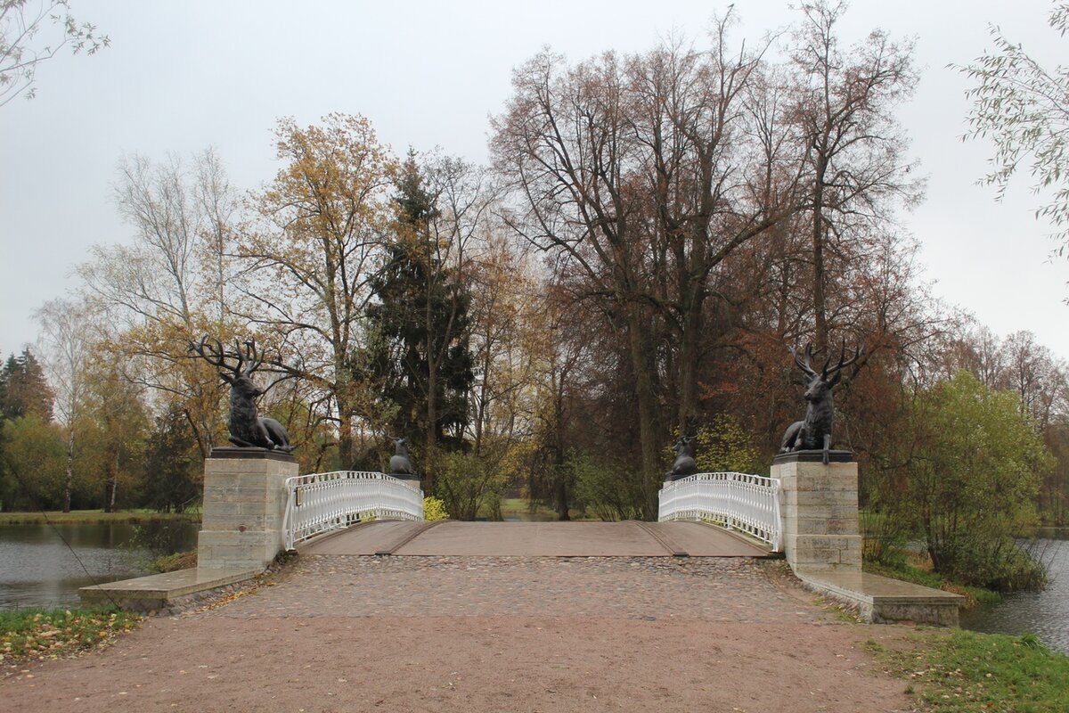 Олений мост с оленями (октябрь 2020)