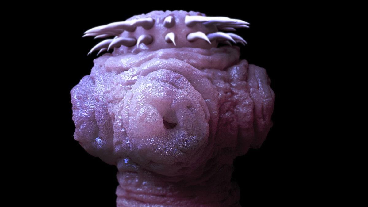 (Вооруженный)Головка на которой имеются присоски и крючья