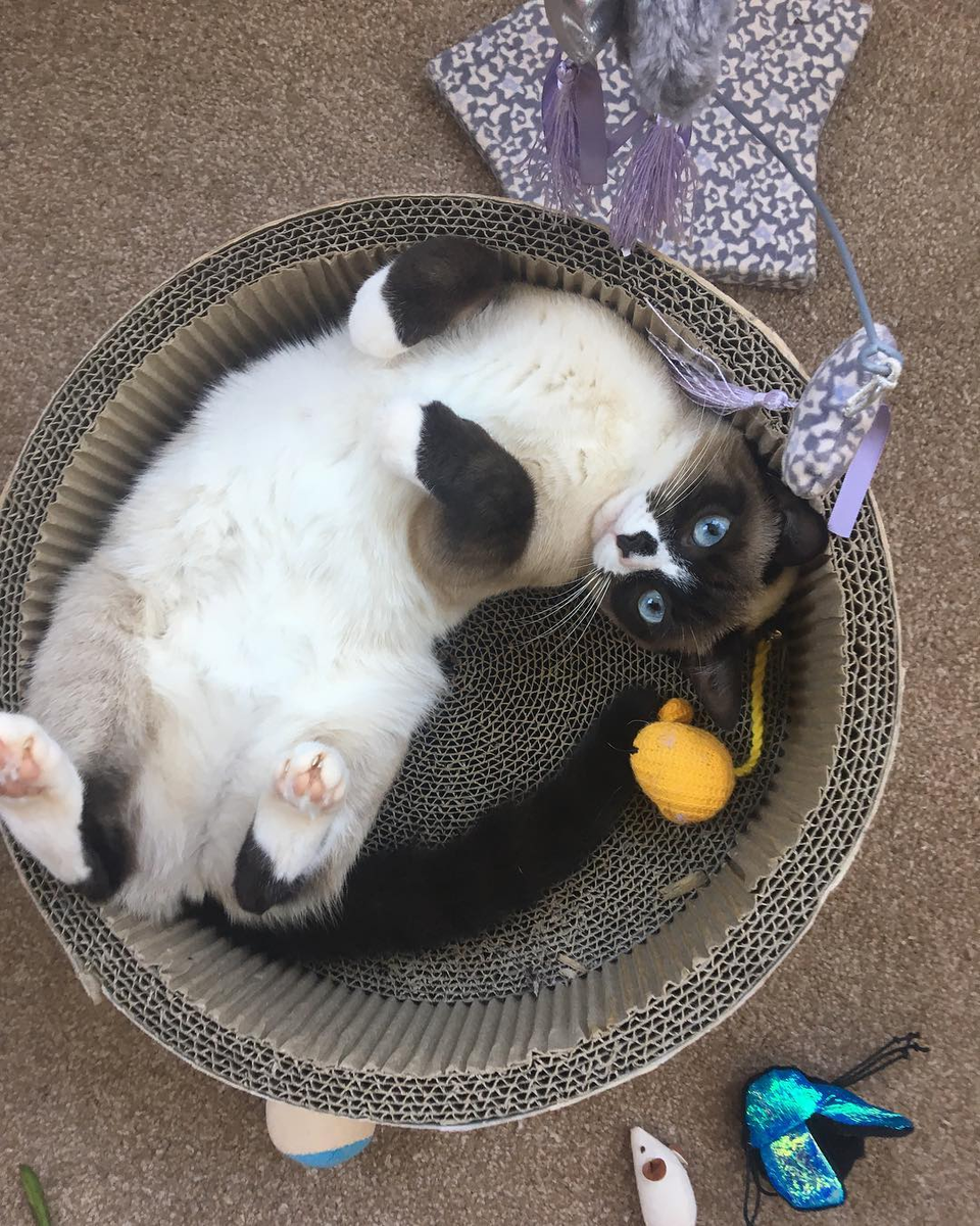 реально же красавчик...