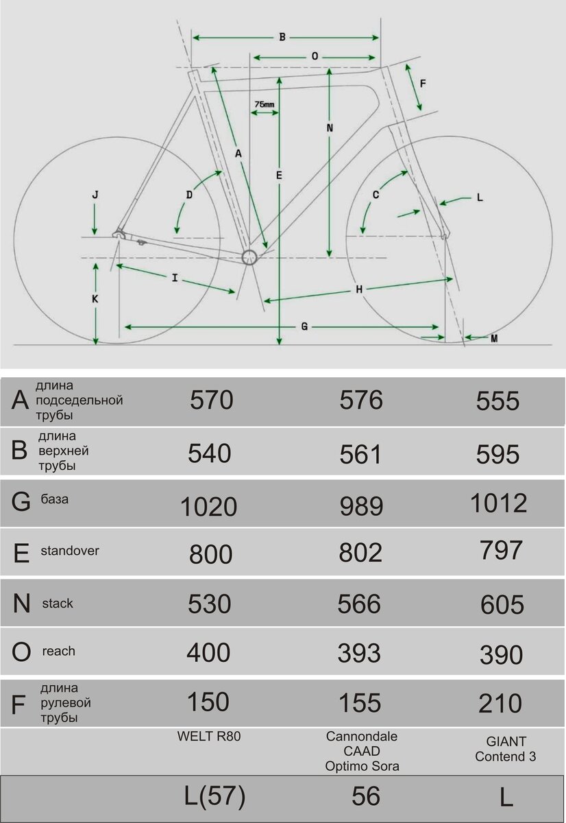 Данные взяты с официальных сайтов Cannondale и Giant. Приведенные размеры подходят для людей ростом от 180 до 190 сантиметров
