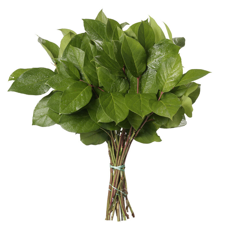 Салал. Фото с https://funburg.ru/catalog/tsvety/justflowers/tsvety-dlya-sostavov-buketov/salal/