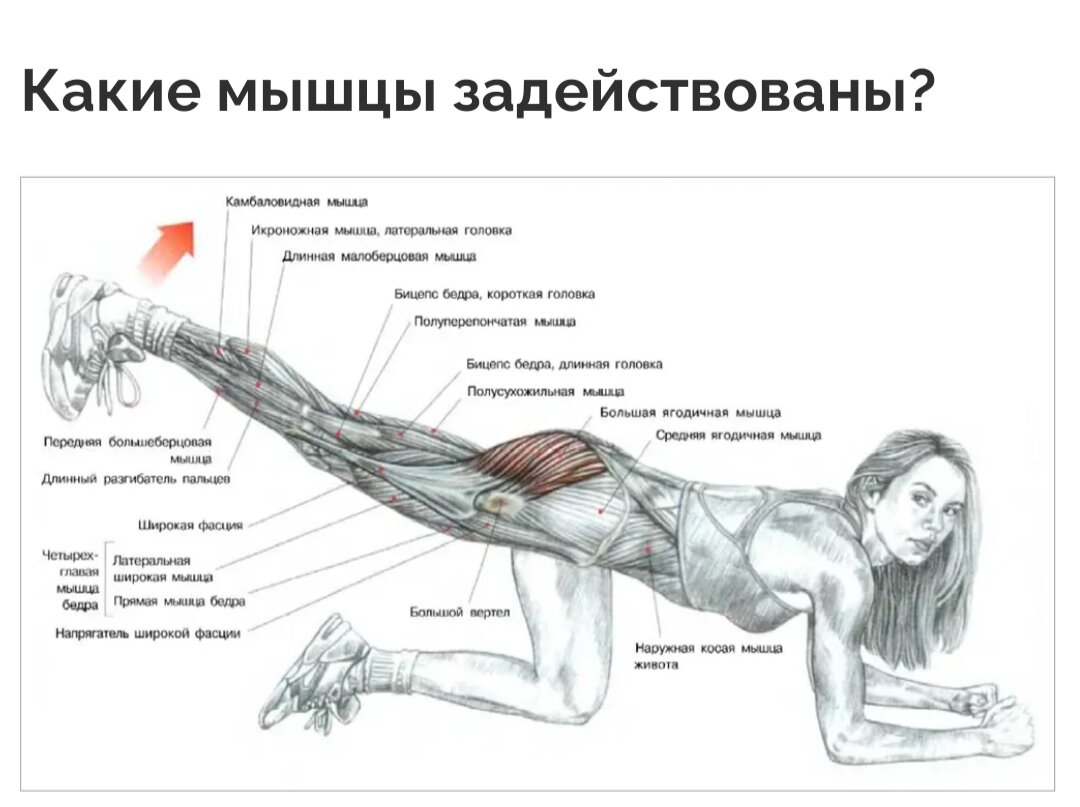 Прокачка ягодиц картинки