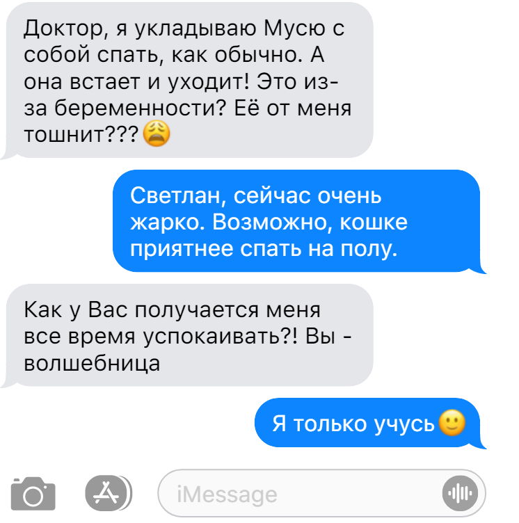 Переписка c ai