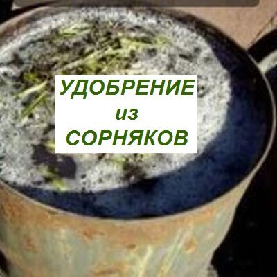 удобрение из сорняков