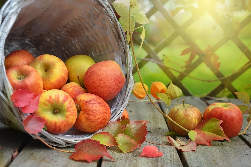 Корзина с яблоками