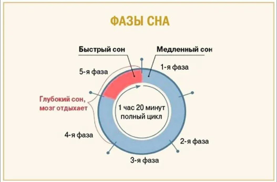 Первый план сон