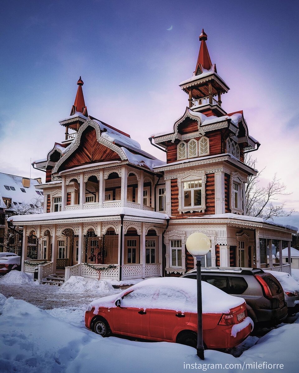 Терем Проскурякова. Фото автора