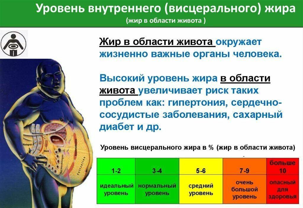 Как определить уровень мужчины. Уровень висцерального жира. уровень висцерального жира норма. висцеральный жир показатели.