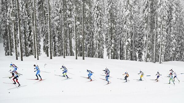    Биатлонисты на дистанции смешанной эстафеты на чемпионате мира в словенской Поклюке.© РИА Новости / Алексей Филиппов