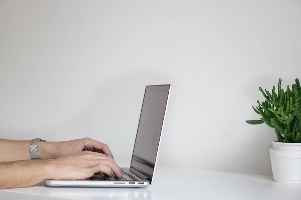 Изображение: pexels (pixabay) 