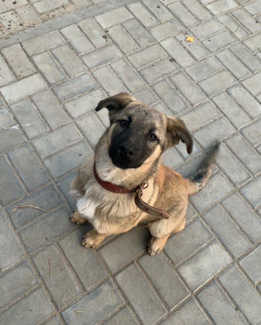 Вот она, счастливая, которая обрела дом.