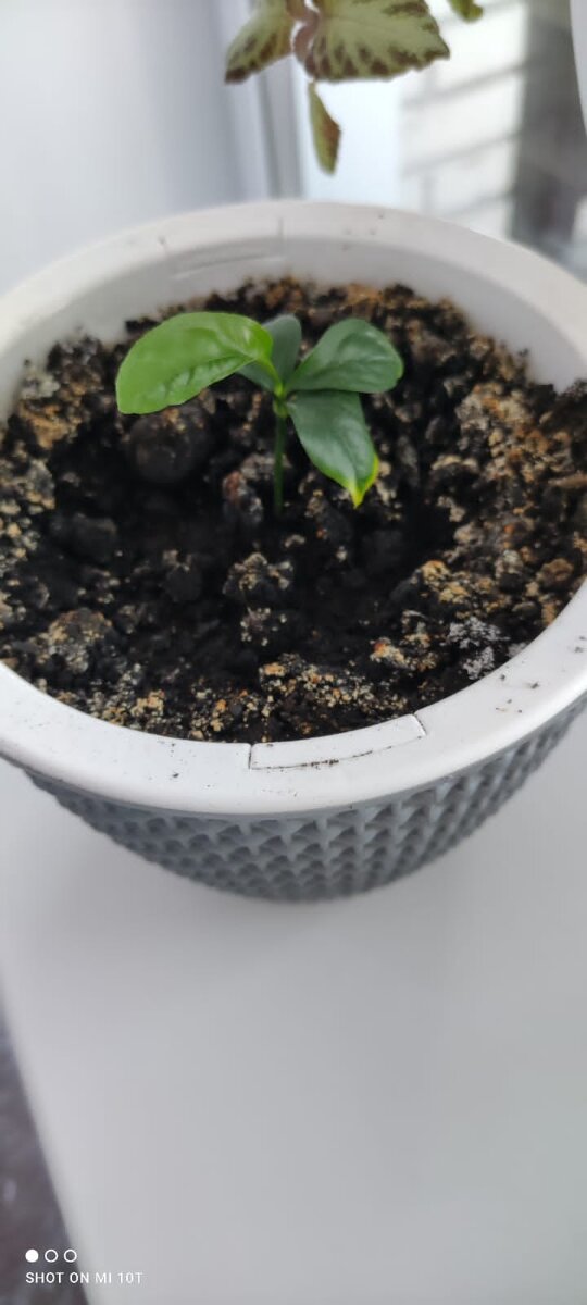 источник фото собственный архив 