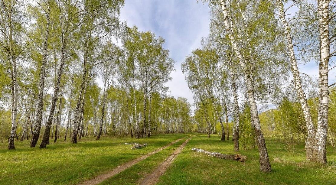 Фото — photocentra.ru