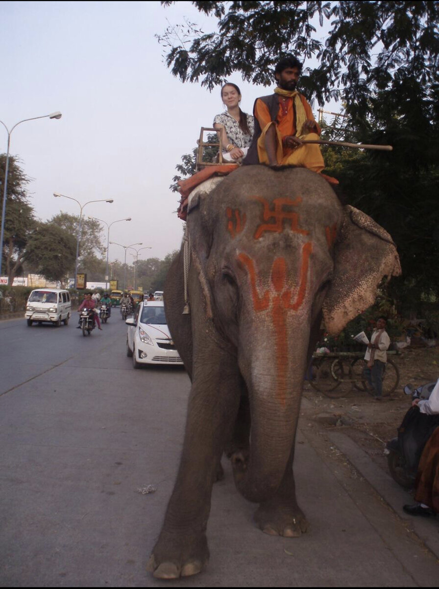 Ехали куда-то, а на дороге слон😍