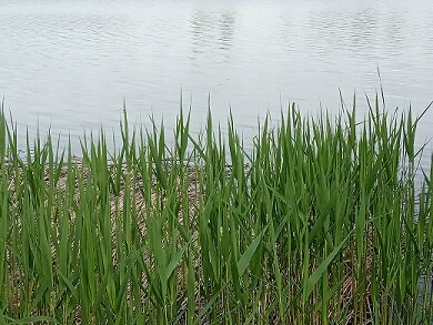 Фотография из личного архива автора