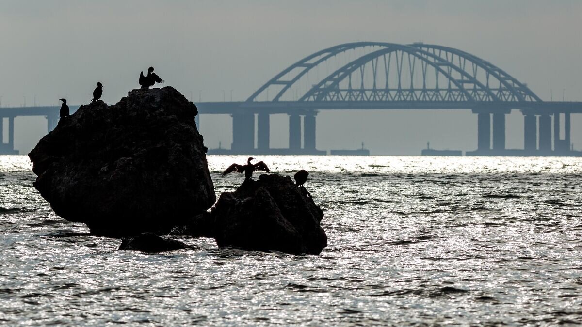    Крымский мост через Керченский пролив© РИА Новости / Виталий Тимкив