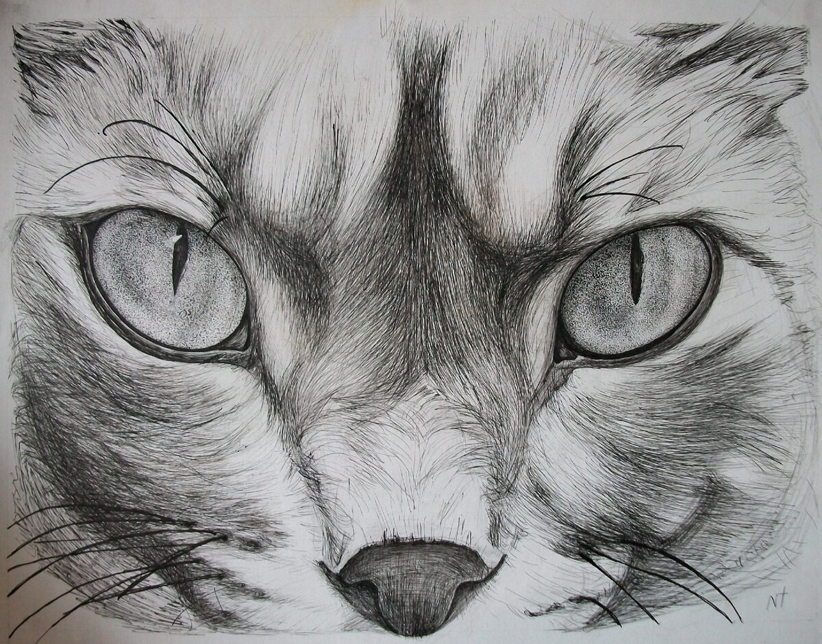 Кошачьи глаза рисунок