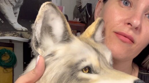 Катя Лейт | Звук для привлечения внимания 😁 Хотя так-то все по факту ...