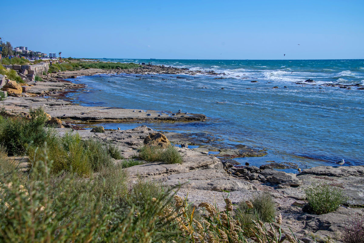 Каспийское море. Актау берег Каспия. Берег Каспийского моря Калмыкия. Южный берег Каспийского моря.