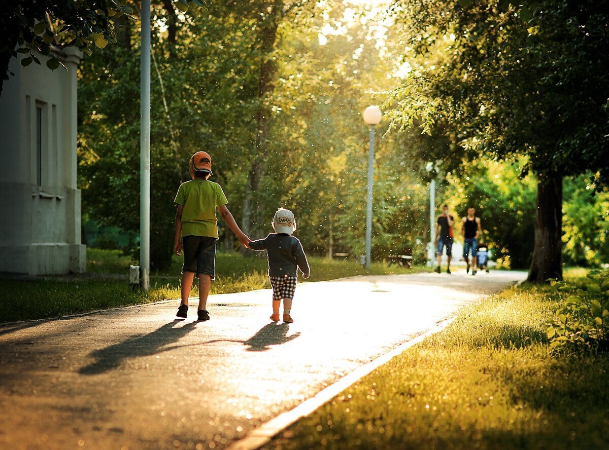 Урок будет на улице. Прогулка в парке. Дети гуляют. Дети улицы. Прогулка в парке летом.