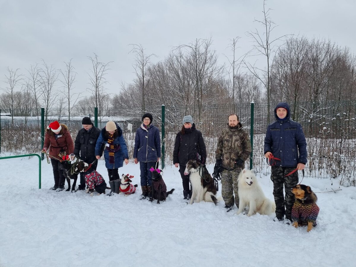 Собаки бывают разные